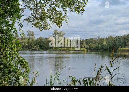 Teich, Deetzer Erdlöcher, Groß Kreutz, Brandeburgo, Deutschland Foto Stock