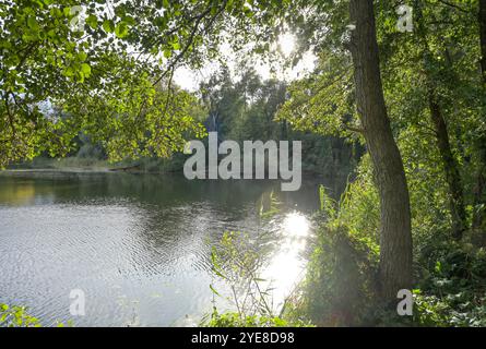 Teich, Deetzer Erdlöcher, Groß Kreutz, Brandeburgo, Deutschland Foto Stock