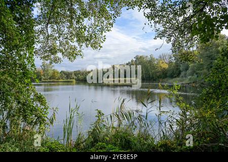 Teich, Deetzer Erdlöcher, Groß Kreutz, Brandeburgo, Deutschland Foto Stock