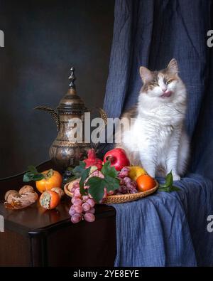 Natura morta con frutta e gattino curioso Foto Stock