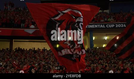 CAIRO, EGITTO - OTTOBRE 29: Una visione generale dello stadio e dei tifosi durante la partita tra al Ahly e al Ain durante la FIFA Intercontinental Cu 2024 Foto Stock