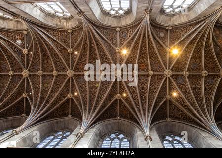 Hereford Cathedral soffitto a volta, Hereford, Herefordshire, Inghilterra, Regno Unito Foto Stock