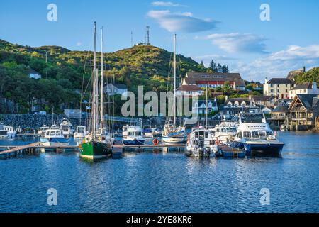 Barche e yacht ormeggiati nel porticciolo di Mallaig all'alba - Mallaig, Lochaber, Highlands scozzesi, Scozia Foto Stock