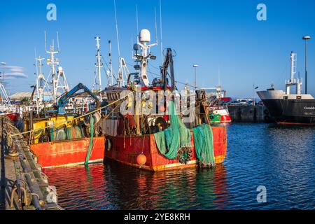 Colorate barche da pesca sulla banchina al porto di Mallaig all'alba - Mallaig, Lochaber, Highlands scozzesi, Scozia Foto Stock