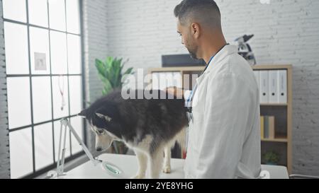 Bel giovane ispanico veterinario maschio che esamina un husky in una brillante clinica veterinaria. Foto Stock