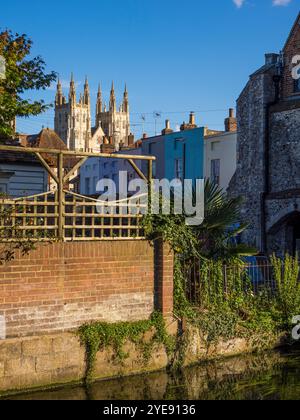 Vista della cattedrale di Canterbury con il Great Stour (fiume) e le case, Canterbury, Kent, Inghilterra, Regno Unito, Gran Bretagna. Foto Stock