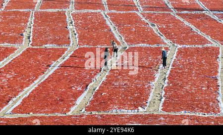 Pechino, Cina. 30 ottobre 2024. Una foto scattata con un drone il 30 ottobre 2024 mostra i contadini che suonano i fianchi nella città di Zunhua, nella provincia di Hebei nella Cina settentrionale. Crediti: Liu Mancang/Xinhua/Alamy Live News Foto Stock