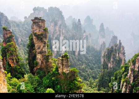 Incredibile vista dei pilastri di pietra arenaria al quarzo dalle forme fantastiche Foto Stock