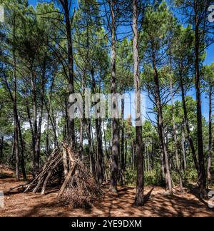 Un rifugio nascosto a Les Demoiselles Coiffees, a volte conosciuto come camini delle fate, Bedoin, Provenza, Francia Foto Stock