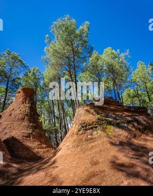 La gemma nascosta di Les Demoiselles Coiffees, a volte conosciuta come camini delle fate, Bedoin, Provenza, Francia Foto Stock