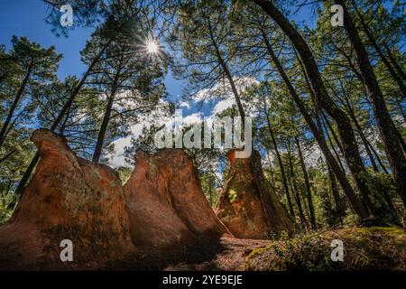 La gemma nascosta di Les Demoiselles Coiffees, a volte conosciuta come camini delle fate, Bedoin, Provenza, Francia Foto Stock