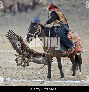 Cacciatore di aquile mongole a cavallo con aquila d'oro (Aquila chrysaetos) al Festival dell'aquila in Mongolia; Olgii, Mongolia Foto Stock