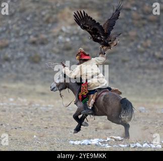 Cacciatore di aquile mongole a cavallo con aquila d'oro (Aquila chrysaetos) al Festival dell'aquila in Mongolia; Olgii, Mongolia Foto Stock