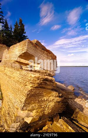 Primo piano di pietra calcarea sulle rive del lago Winnipeg nel parco provinciale di Hecla-Grindstone; Manitoba, Canada Foto Stock