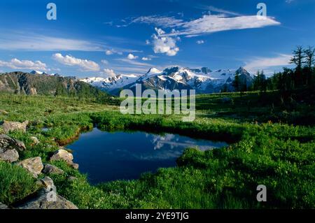 Bellezza naturale lungo il Monica Meadows Trail nelle Purcell Mountains della British Columbia, Canada; British Columbia, Canada Foto Stock