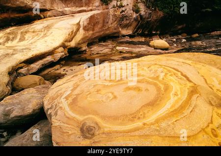 Primo piano di rocce sulla riva nel Juan de Fuca Provincial Park (Botanical Beach Provincial Park) sull'isola di Vancouver; British Columbia, Canada Foto Stock