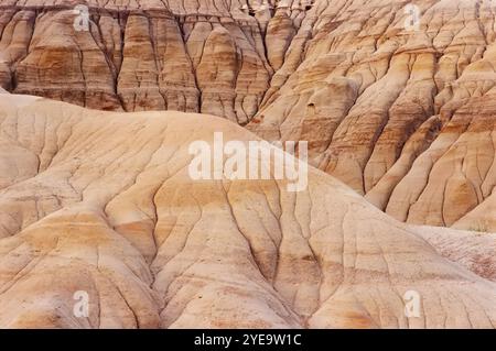 Hoodoos nelle calanchi dell'Alberta, a sud di Drumheller, Canada; Alberta, Canada Foto Stock