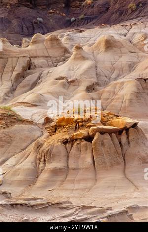 Hoodoos nelle calanchi dell'Alberta, a sud di Drumheller, Canada; Alberta, Canada Foto Stock