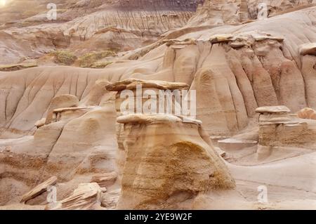 Hoodoos nelle calanchi dell'Alberta, a sud di Drumheller, Canada; Alberta, Canada Foto Stock