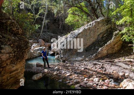 Ritratto di una donna che sorride alla macchina fotografica mentre si trova in una piscina nella South Fork di Cave Creek nelle montagne Chiricahua nel sud-est del ... Foto Stock