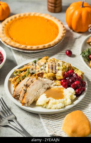 Piatto di tacchino del giorno del Ringraziamento con patate fagioli ripieni e mirtilli rossi Foto Stock