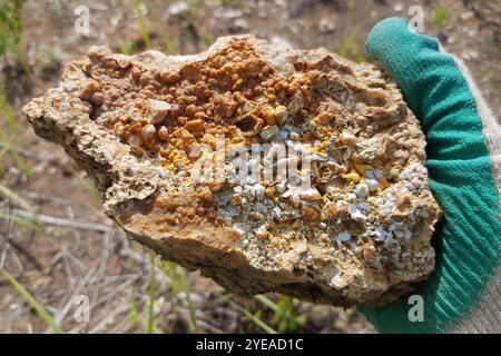 Roccia di Flint con insolita crosta di calcedonia, ricerca di rocce per la raccolta, scogli nella regione di Kaluga, Russia Foto Stock