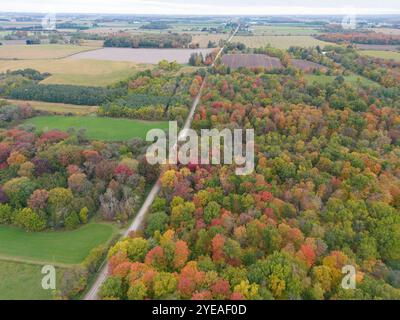 I colori autunnali dell'Ontario sono in autunno. Gli alberi vivaci creano una splendida tavolozza di colori per artisti. Vista aerea che mostra la strada che attraversa la fa... Foto Stock