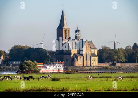 Skyline di Emmerich, sul basso Reno, Chiesa di S. Martini, pascoli sulla riva sinistra del Reno, mucche, nave da carico, NRW, Germania, Foto Stock