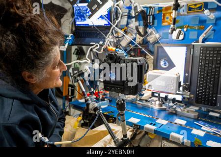 ISS - 24 ottobre 2024 - l'astronauta della NASA e il comandante della spedizione ISS 72 Suni Williams fotografa cristalli di ghiaccio che si formano all'interno di un foglio d'acqua usando su Foto Stock