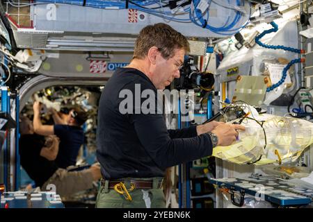 ISS - 19 ottobre 2024 - l'astronauta della NASA e l'ingegnere di volo della Expedition 72 Mike Barratt lavora sulle attività di manutenzione a bordo dell'International Space S. Foto Stock