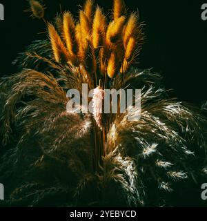 Fiori secchi Foto Stock