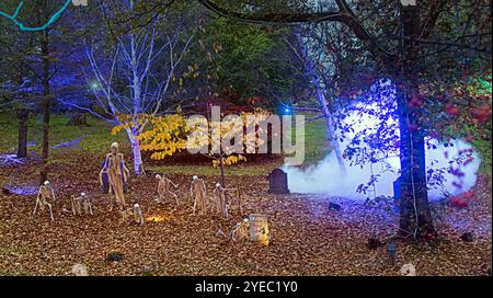 Glasgow, Scozia, Regno Unito. 30 ottobre 2024. Meteo nel Regno Unito: Clima autunnale e un letto di foglie per Halloween come “Glasglow” nel parco pubblico botanico nel frondoso West End di notte girato dall'esterno sulla strada con il cimitero di scheletro "ossa" e la tomba di "l'ignoto" dalla famosa esperienza di wonka con il suo scheletro. Credit Gerard Ferry/Alamy Live News Foto Stock