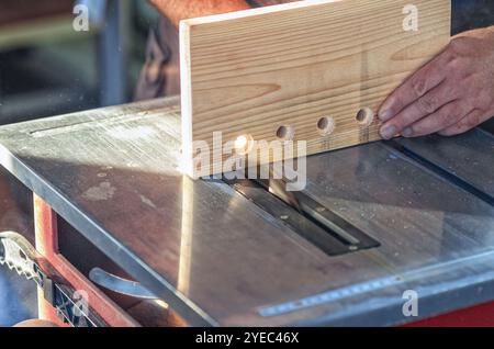 Falegname che tiene a mano un pannello di legno con fori rotondi in falegnameria. Sega circolare. Ritagliare Foto Stock