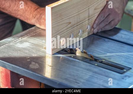 Falegname che tiene a mano un pannello di legno con fori rotondi in falegnameria. Sega circolare. Ritagliare Foto Stock