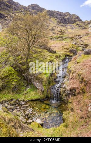 Ruscello con cascata e piscina in primavera. Far Easedale Gill, Grasmere, Lake District, Regno Unito Foto Stock