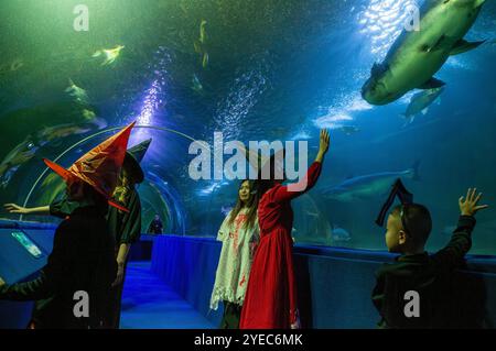 Chiang mai, Thailandia. 30 ottobre 2024. Un bambino e il personale dello zoo di Chiang mai sono visti vestiti da fantasmi all'acquario dello zoo di Chiang mai. Lo zoo di Chiang mai celebra Halloween decorando i giardini con temi festivi. I membri del personale indossano costumi per migliorare l'atmosfera spettrale e sono allestiti degli spot fotografici per i turisti per immortalare i ricordi delle vacanze e promuovere il turismo durante la stagione di Halloween. (Foto di Pongmanat Tasiri/SOPA Images/Sipa USA) credito: SIPA USA/Alamy Live News Foto Stock