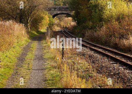 Una sezione della South Tynedale Railway vicino ad Alston, Cumbria, Regno Unito, in autunno Foto Stock