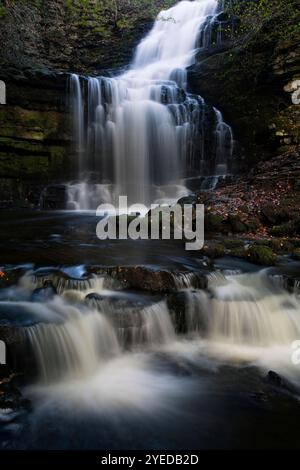 Scaleber Foss Waterfall (in alternativa conosciuta come Scaleber Force) nei pressi di Settle, Ribblesdale, Yorkshire Dales, Regno Unito Foto Stock