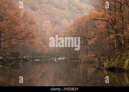 Il fiume Derwent scorre attraverso Borrowdale a Gowder Dub vicino a Grange, Lake District, Regno Unito Foto Stock