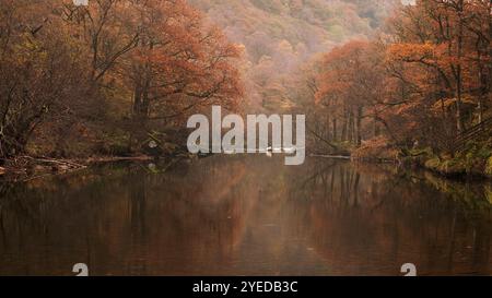 Il fiume Derwent scorre attraverso Borrowdale a Gowder Dub vicino a Grange, Lake District, Regno Unito Foto Stock