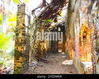 Port Blair, Isole Andamane e Nicobare, Mare delle Andamane, India Foto Stock