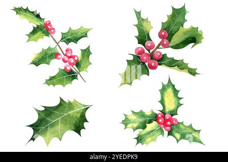 Acquerello delle foglie holly disegnate a mano. Set floreale natalizio per decorazioni natalizie isolate su sfondo bianco. Foglie verdi, bacche rosse. Elementi per Foto Stock