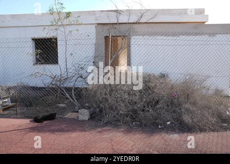 Immobilien Spanien, 20241028, Symbolbild, immobilie, Verkaufsangebote, ,vende, Leerstand von bauruinen auf Lanzarote, Playa Blanca *** Real Estate Spain, 20241028, immagine simbolica, immobiliare, offerte di vendita, ,VENDE, edifici vacanti a Lanzarote, Playa Blanca Foto Stock