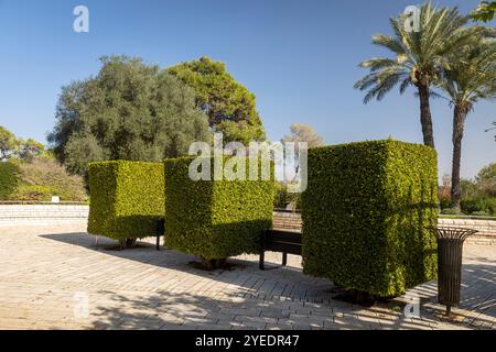 Ramat HaNadiv, Israele - 22 ottobre 2024, The Fragrance Garden, trovato nel 1985, è il più giovane dei Memorial Gardens nel Rothschild Park. Una cacca rotonda Foto Stock