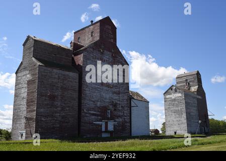 Ascensori per cereali abbandonati a Waseca, Saskatchewan Foto Stock