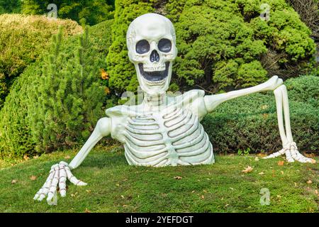 Halloween 2024 - scheletro Foto Stock