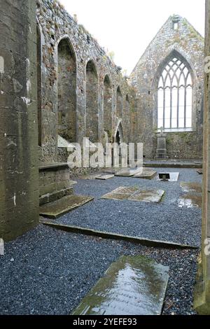 Il Priorato domenicano dei Santi Pietro e Paolo Ruin, fondato nel 1241; Athenry, Contea di Galway, Irlanda; lapidi e lastre tombali, navata della chiesa e coro. Foto Stock