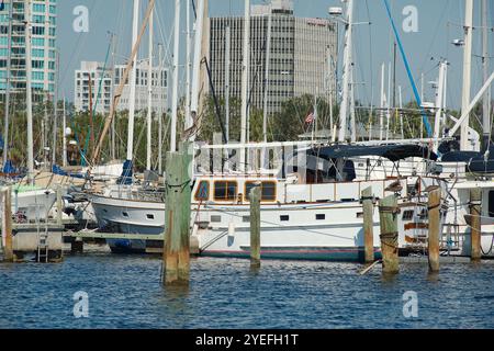 Vista da Bayshore Dr. Vicino ad Albert Whitted, linee principali della strada nel bacino sud degli yacht a St. Petersburg, Florida. Verso lo skyline del centro con il verde Foto Stock
