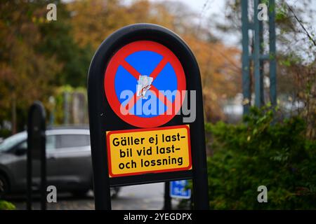 Hässleholm, Skåne, Svezia. Ottobre 28 2024. Segnaletica stradale svedese. Foto Stock