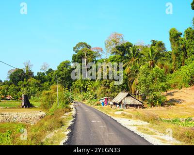 Isola di Havelock (Swaraj Dweep), Isole Andamane e Nicobare, Mare delle Andamane, India Foto Stock